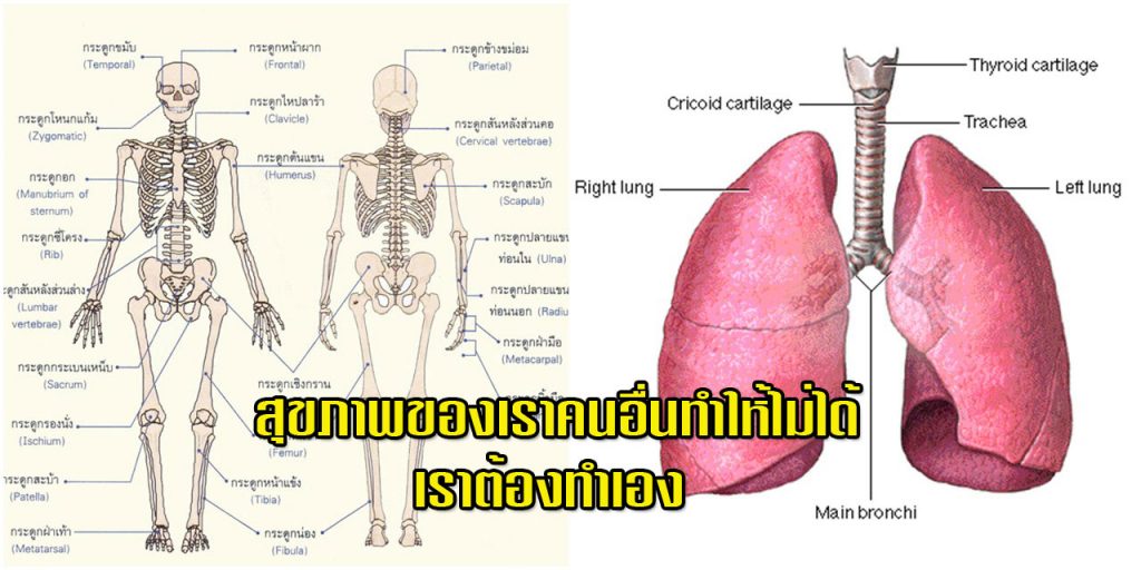 สุภาพ.jpg