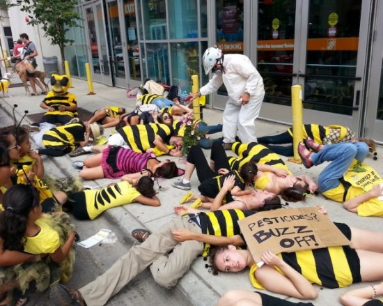 Chicago_bee_die-in-e1513867274170.jpg