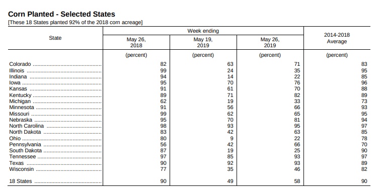 corn-planted-us-may-26-2019.jpg